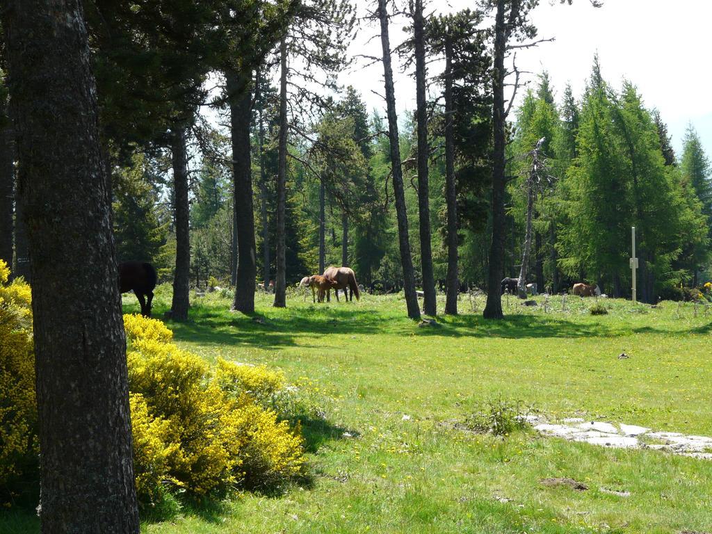 Font Romeu Via Apartment Room photo